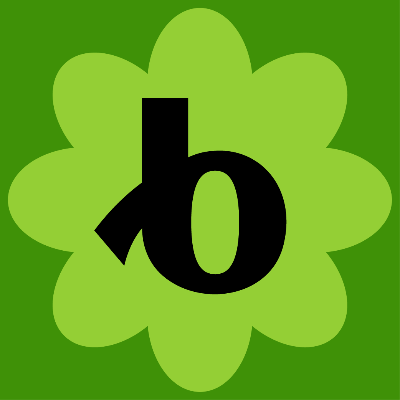 Bloomerang